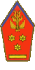 Speciaal Stafkorps - Corps d'État-major