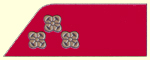Militärbeamte im Ränge Hauptmann (OberTierarzt 1. und 2. Klasse)