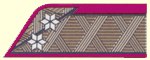 Militärbeamte im Ränge Oberstleutnant (Ober-Intendant 2. Klasse)